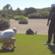 Video -Mira esta broma que le hacen a David ortiz en su propio torneo de golf.