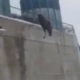 Video Fuerte Hombre se tira de un 13 piso Suicide jump from a water tank