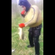 VIDEO Este pescador no necesita mucha lucha para pescar No Need For Fishing Poles When Your Around This Guy!