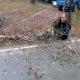 Video Arbol al caer le cae en la espalda a este pobre hombre Lumberjack Nearly Killed By Falling Tree