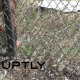 Video Hombre desnudo crusando una verja Italy: See NAKED activist break into US base in Niscemi