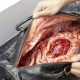 Video Tremendo susto miren Organs Inside Luxury Handbags To Shock Shoppers!
