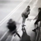 VIDEO: Amputan la pierna a un turista sueco que fue baleado por un ladrón en Argentina